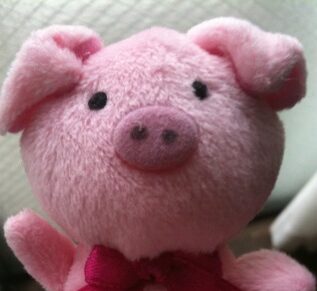 原村のぶーちゃん