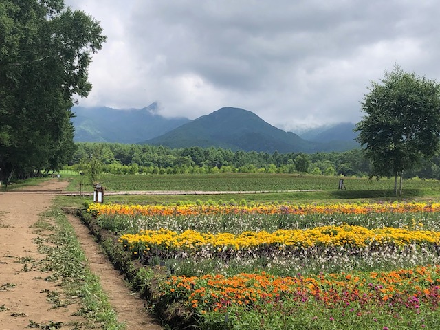 #034 プログ投稿のnoteからワードプレスへの切替とブログ本編の今後について(2) #034 プログ投稿のnoteからワードプレスへの切替とブログ本編の今後について(2)